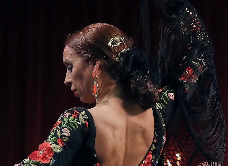 Espectáculo Flamenco 2