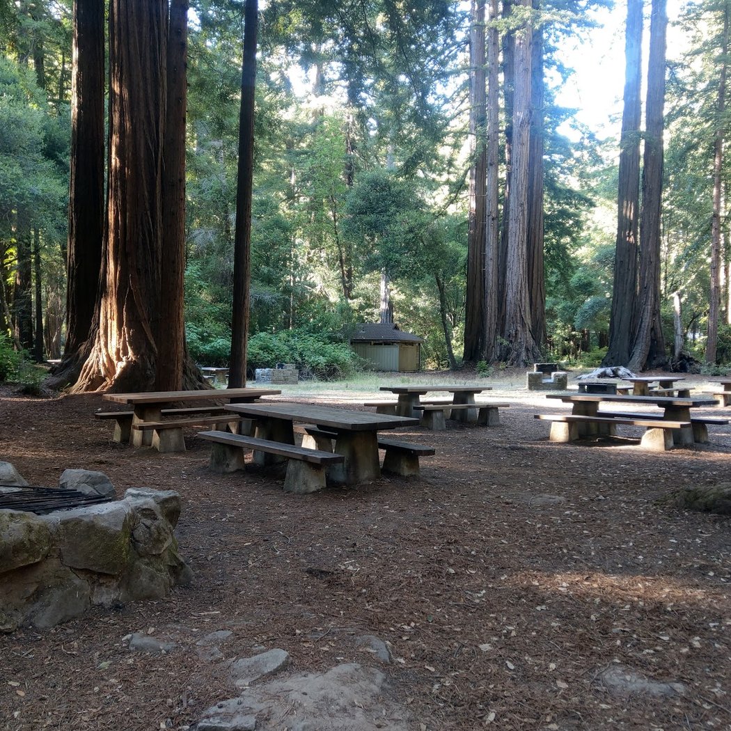 Memorial Park 2