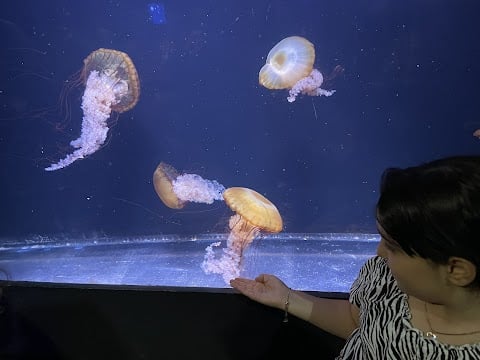 Nocturnal Visit at Aquarium de Paris 1