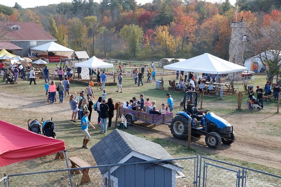 Fall Festival 1