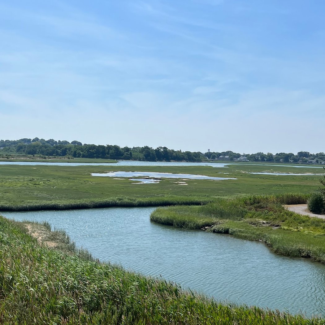 Fall Bird Walk at Belle Isle Marsh 2