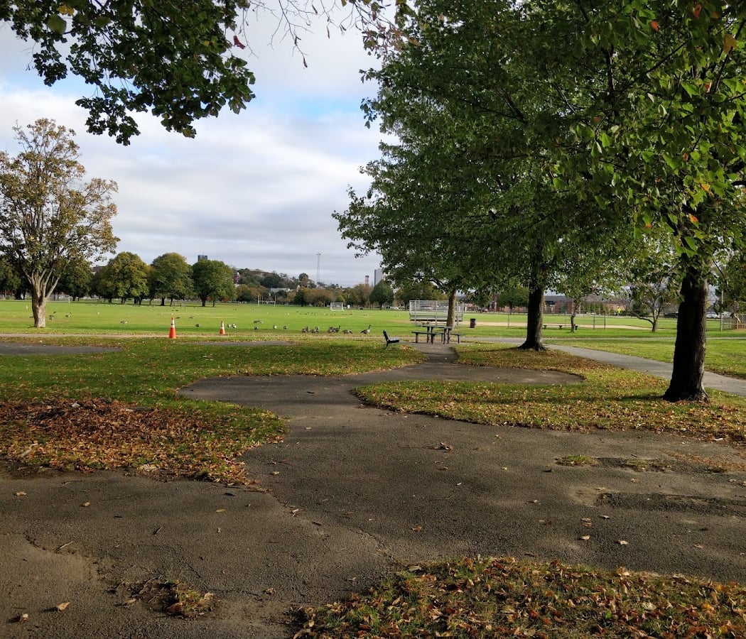 Moakley Park Cleanup 2
