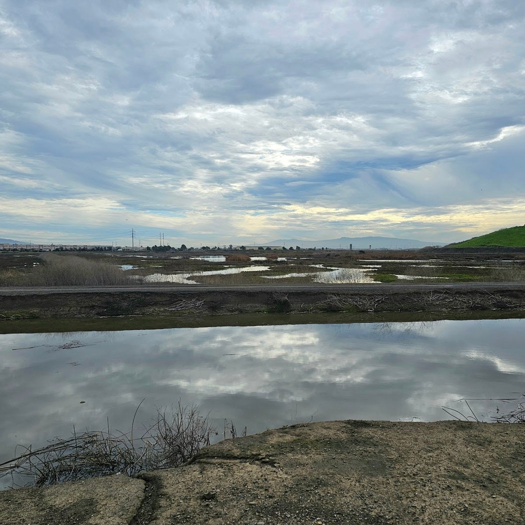 Coyote Creek Lagoon Trail - South 2