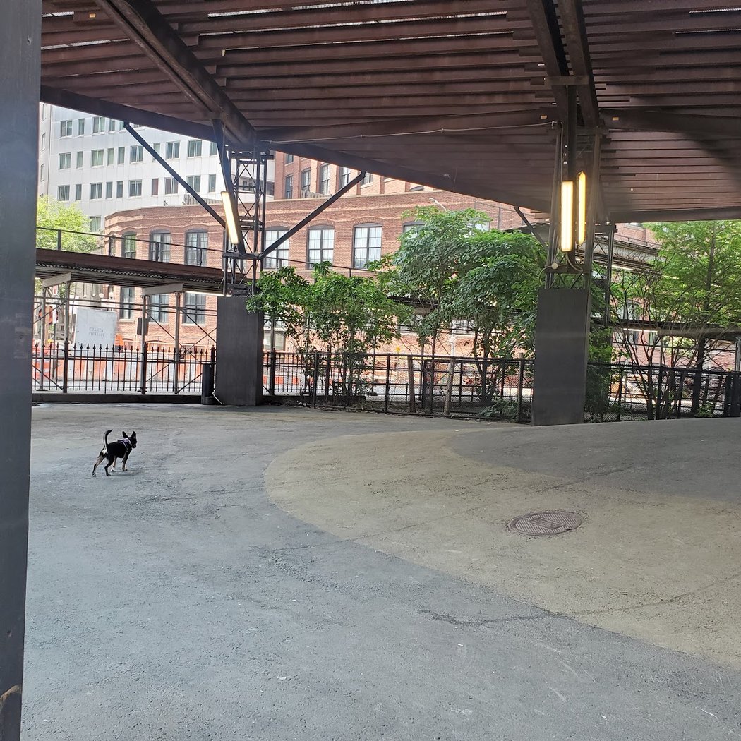 Brooklyn Bridge Park Dog Run 3