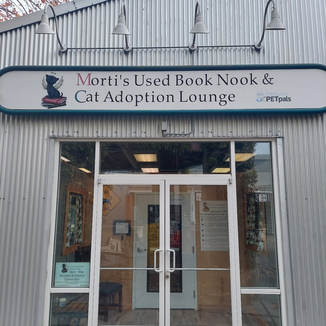 Morti's Used Book Nook & Cat Adoption Lounge 2