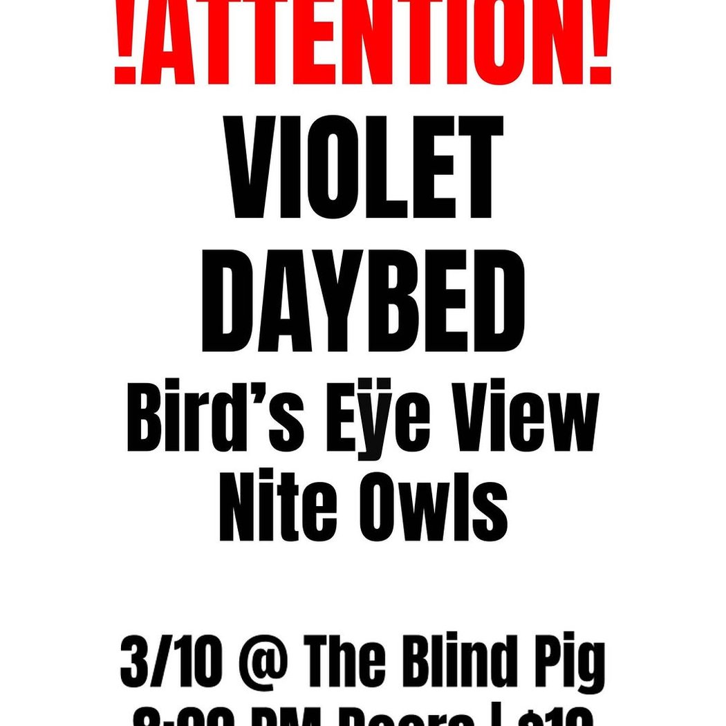 Violet Daybed with Lyloc & Birds Eye View 1