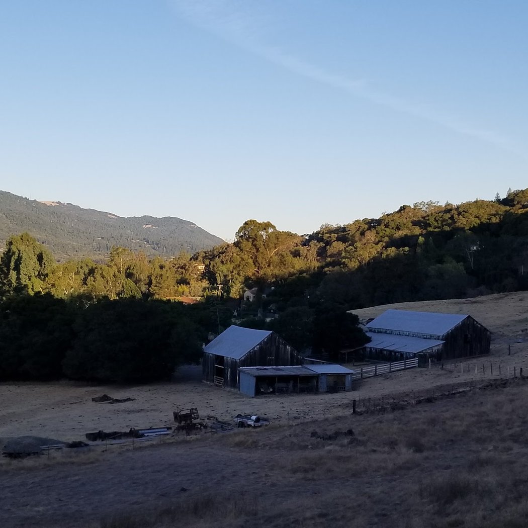 Montini Open Space Preserve 3