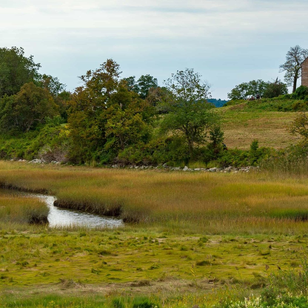 Juneteenth Choate Island Kayak and Hike 1