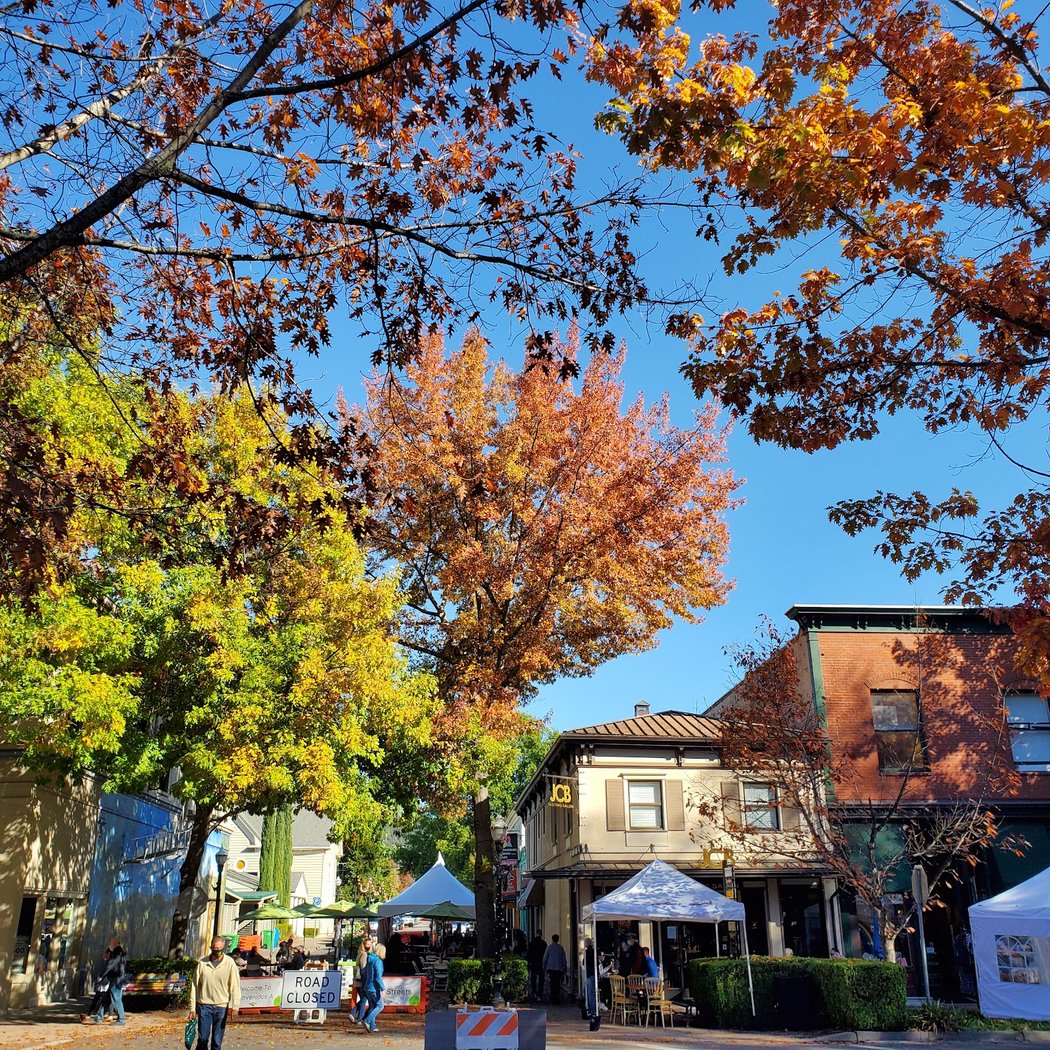 Healdsburg Downtown Plaza Tuesday Farmers’ Market 1