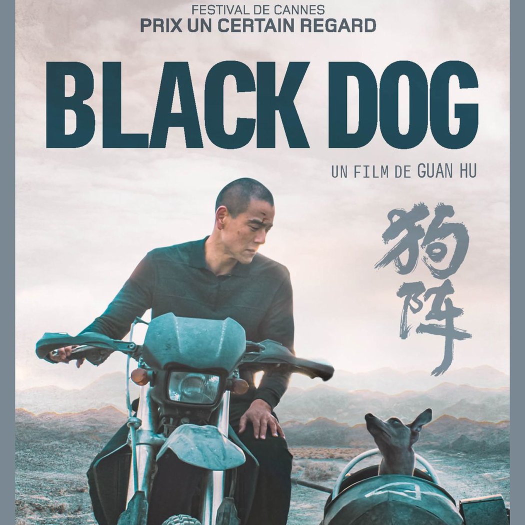 Black Dog 1