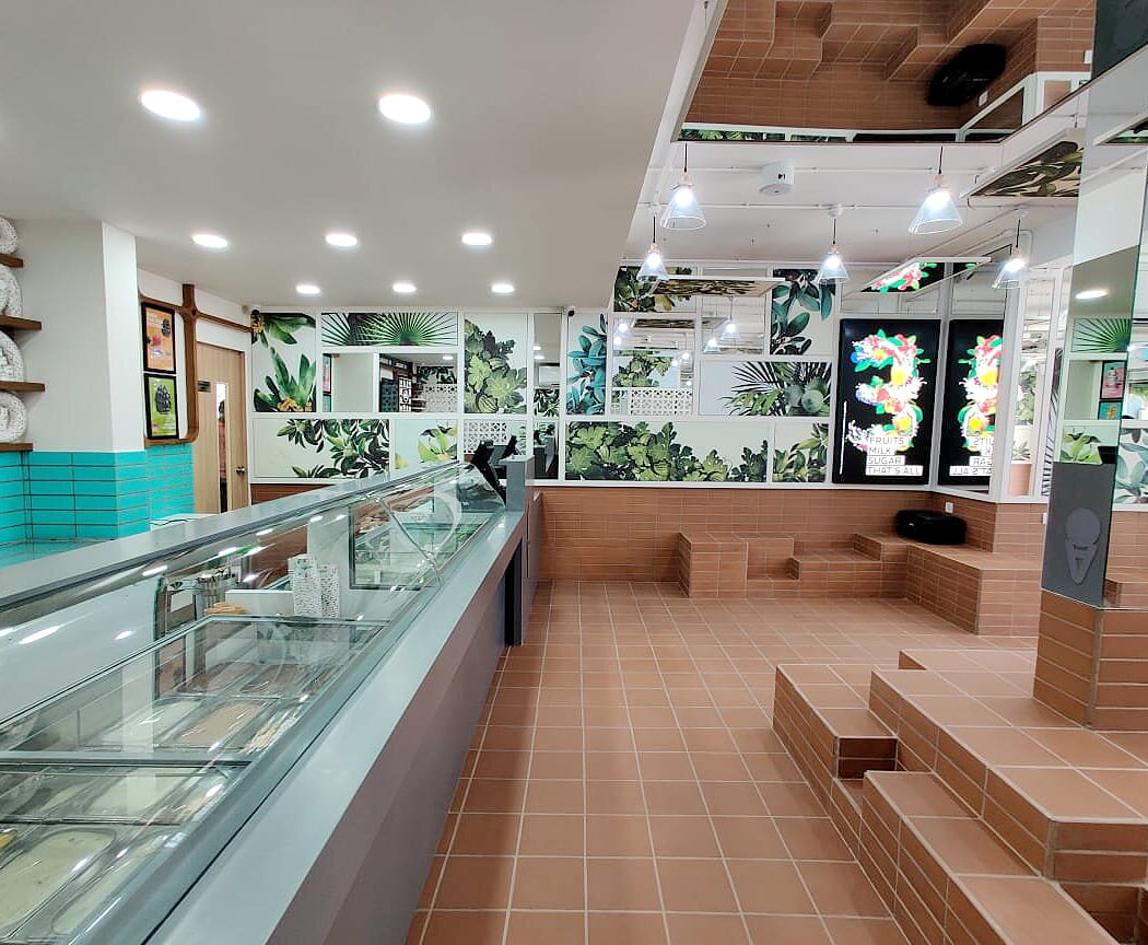 Naturals Ice Cream 2