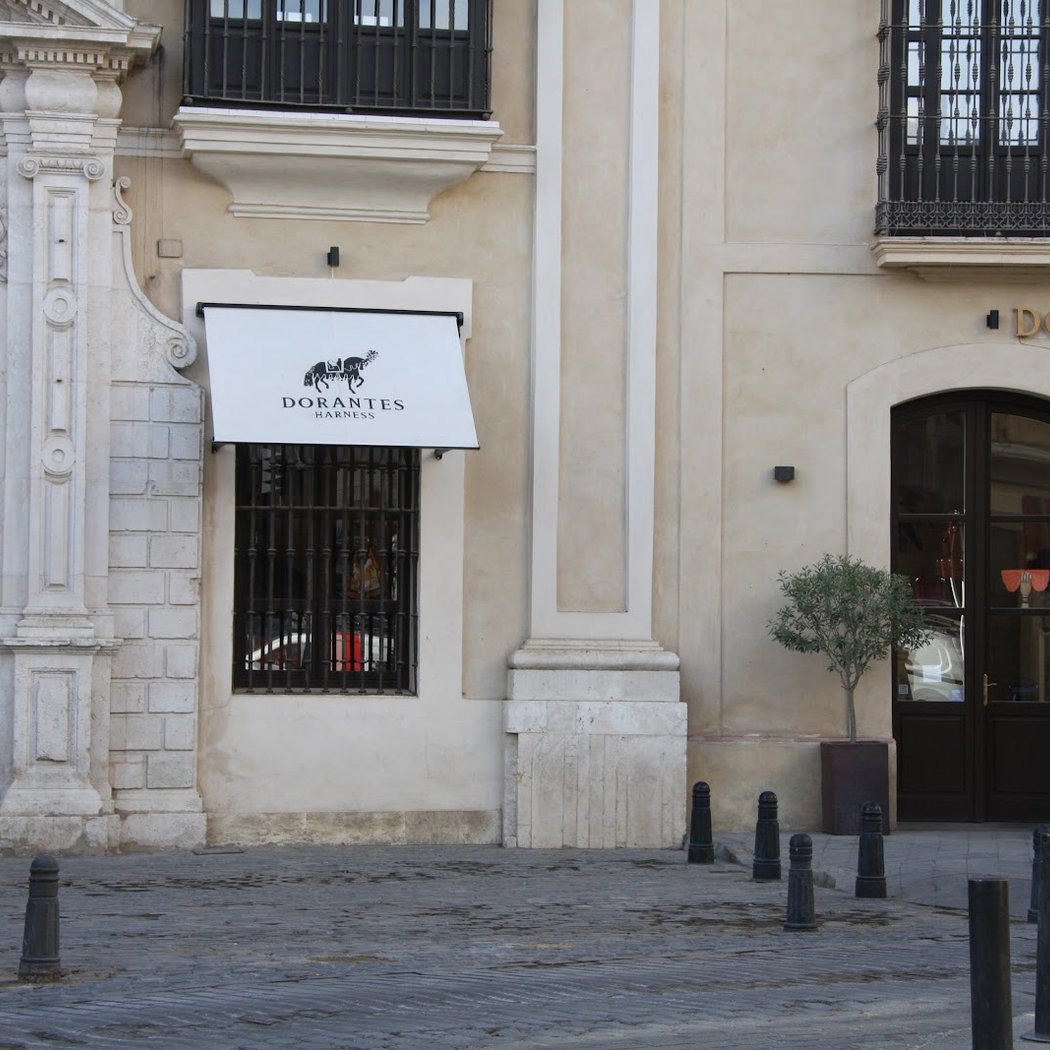 Dorantes Harness - Leather handbags in Seville 2