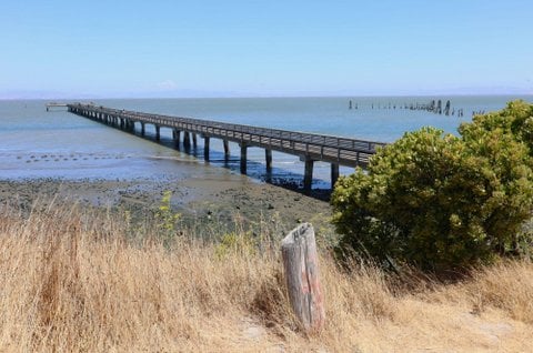 Point Pinole Regional Shoreline 1