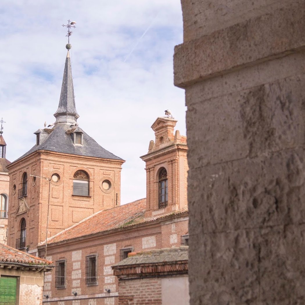EXPOSICIÓN. "Objetos con historia" de las excavaciones arqueológicas UAH en Tebas 1