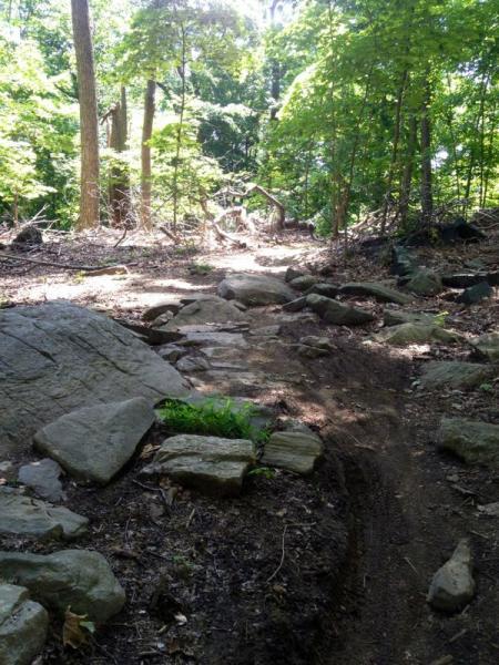Sprain Ridge Park 3