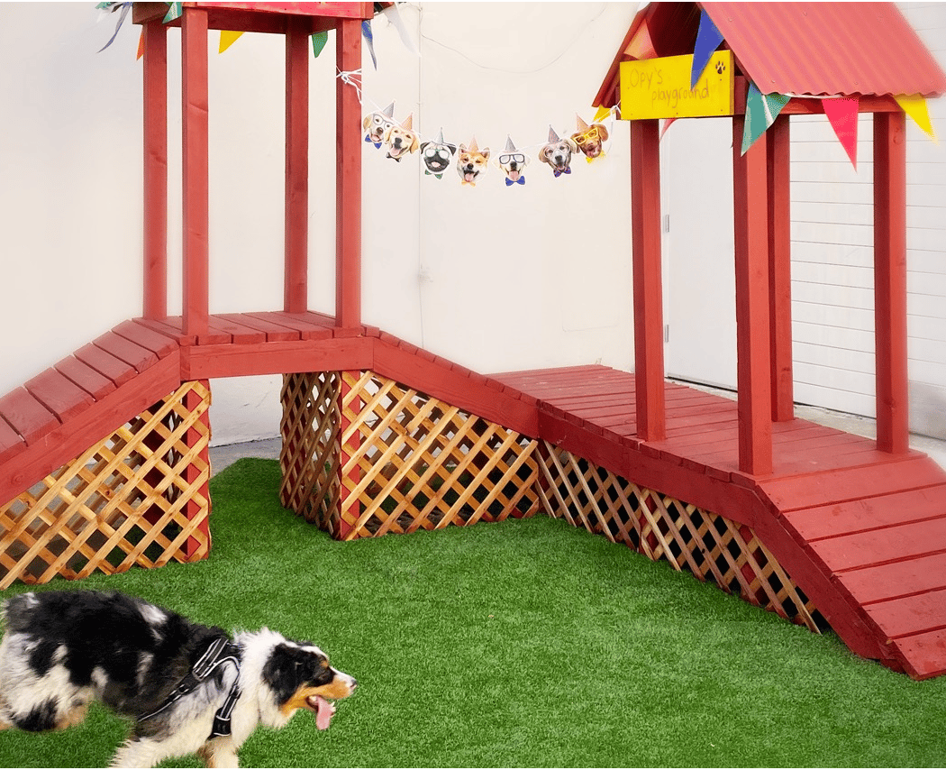 Pups, Treats & Ice Cream 3