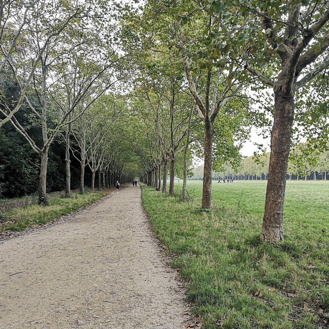 Allée Royale 1