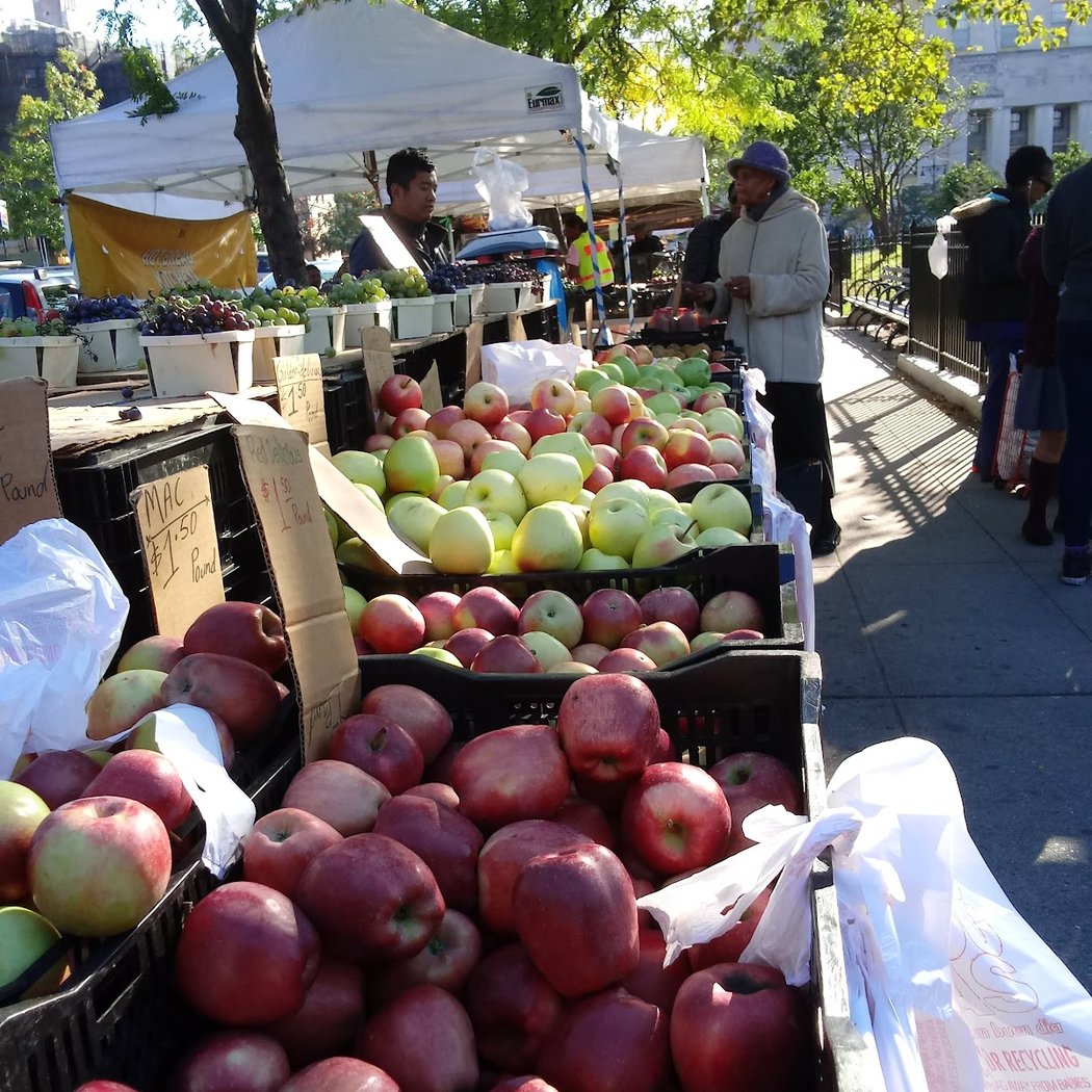 Bronx Borough Hall Farmers Market 3