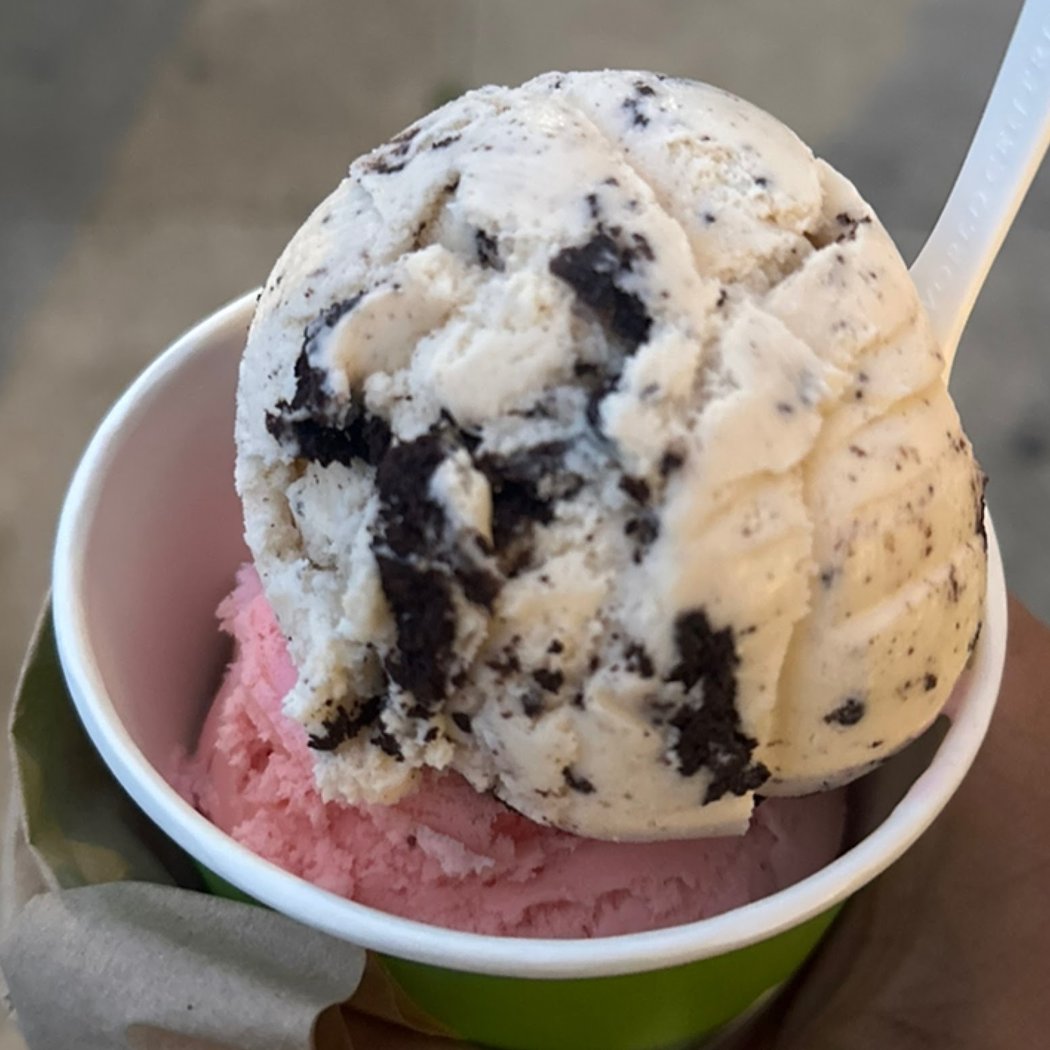 Balboa Ice Cream 3
