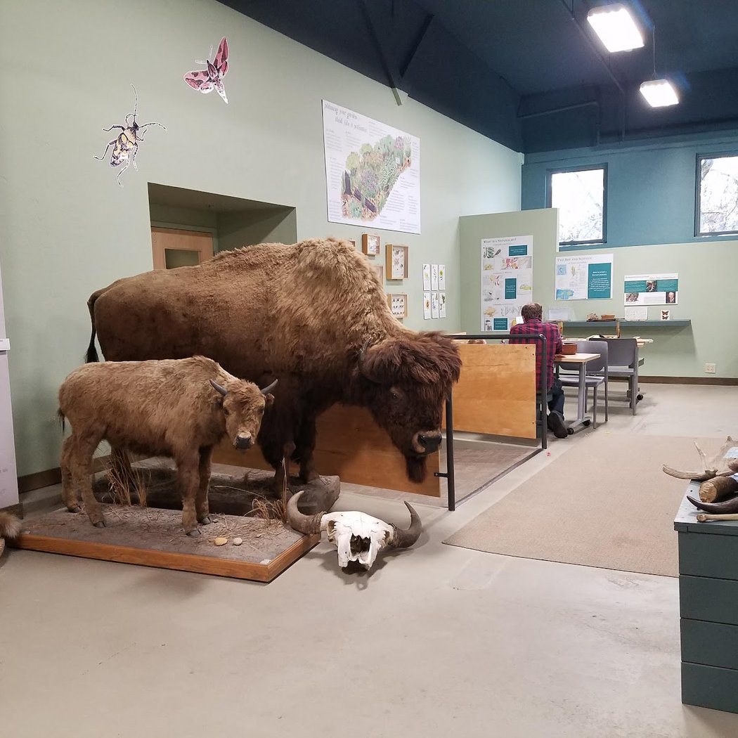 miniNaturalist Pre-K Program 3