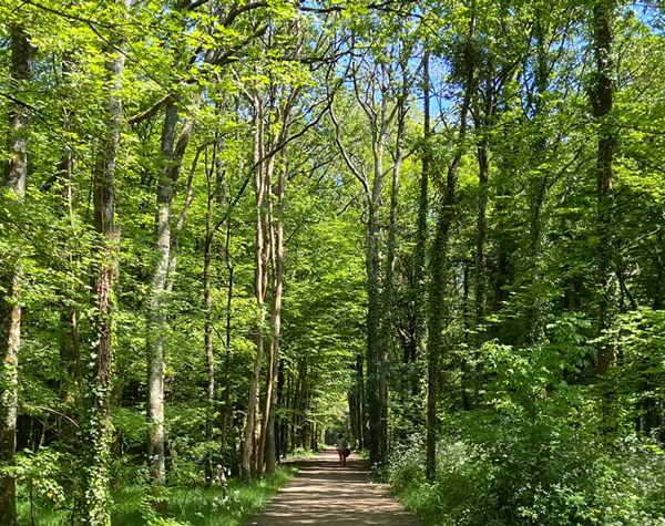 Parc de la Gournerie 1