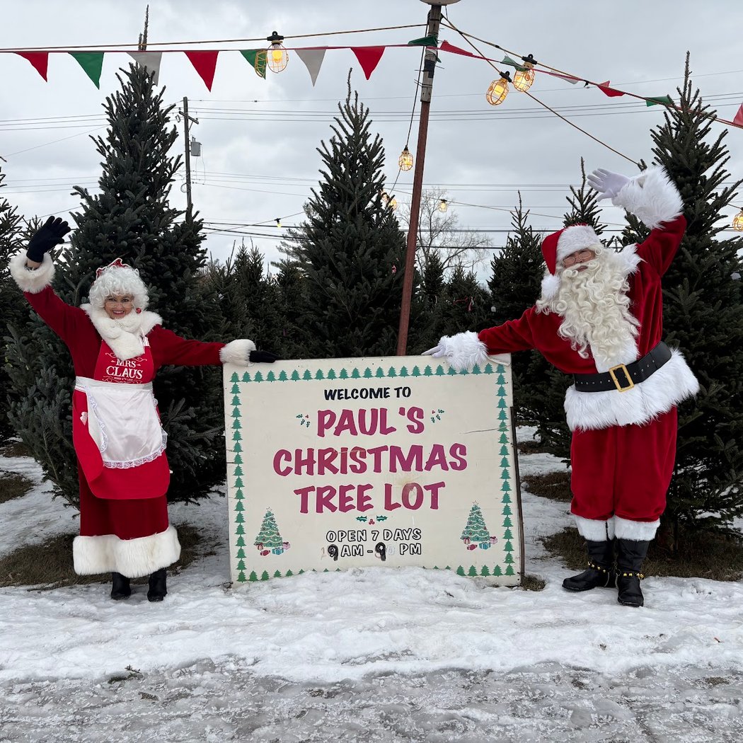 Paul LaTorre's Christmas Tree Lot 1
