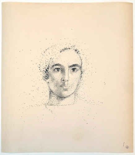 Exposition Dora Maar 1