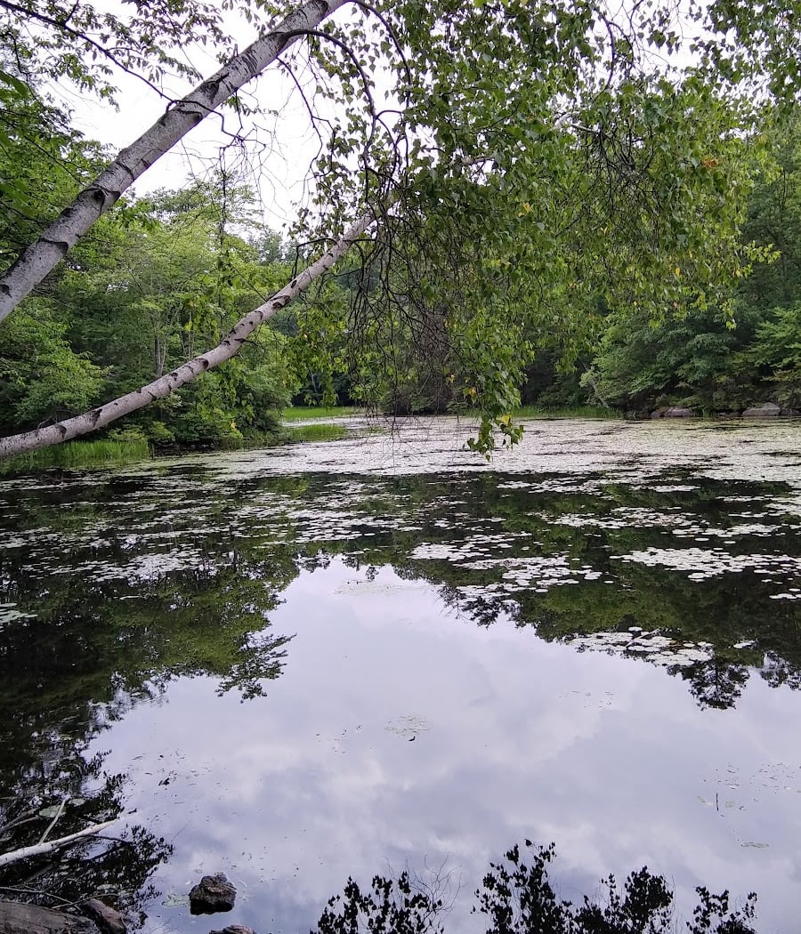 Wonder Lake State Park Hiking Trails 1