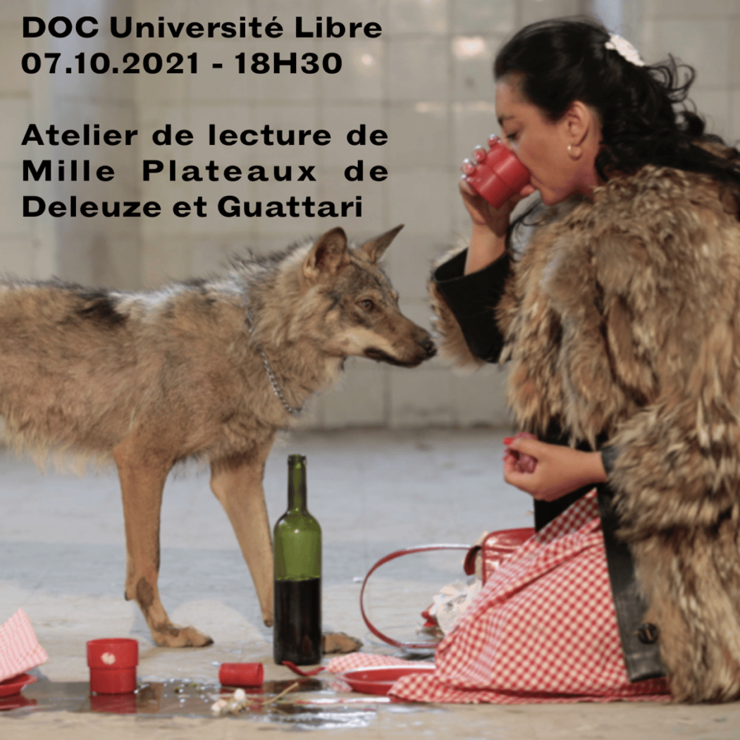 Lecture de Mille Plateaux 1