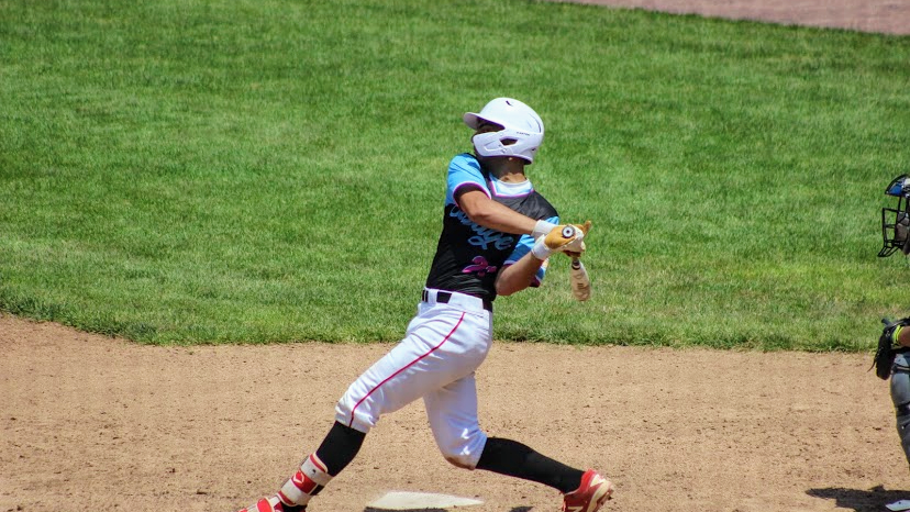 Baseball Performance Institute, LLC 1