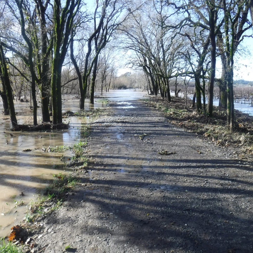 Santa rosa creek trail 3
