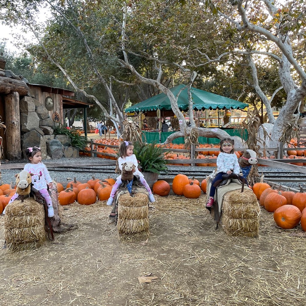 Irvine Park Railroad Pumpkin Patch 2026 2