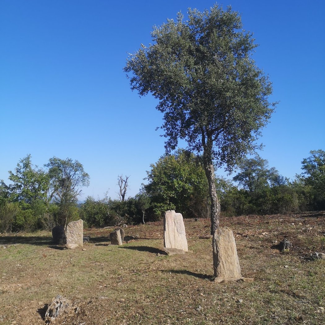 Site mégalithique des terriers 3