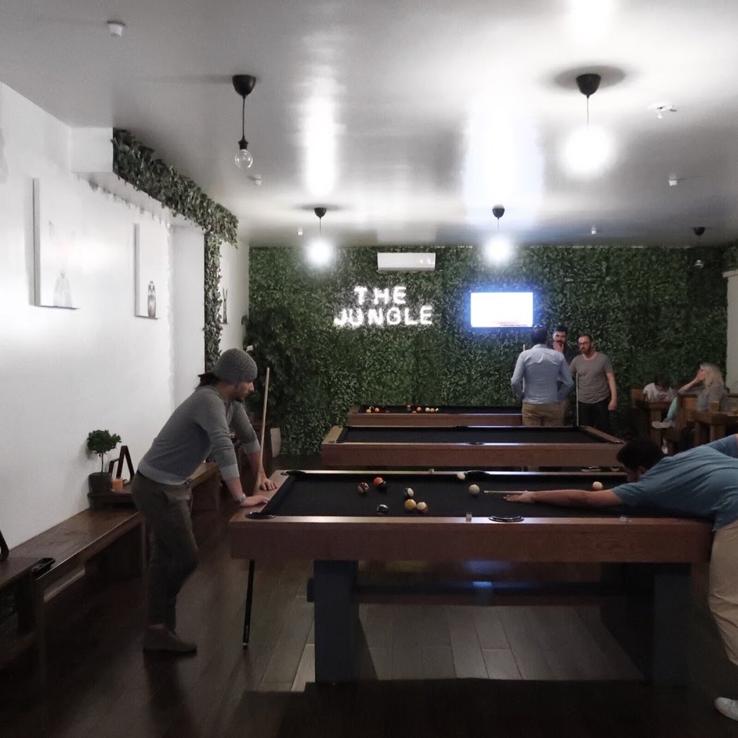 Berry & White Billiards (The Jungle) 2
