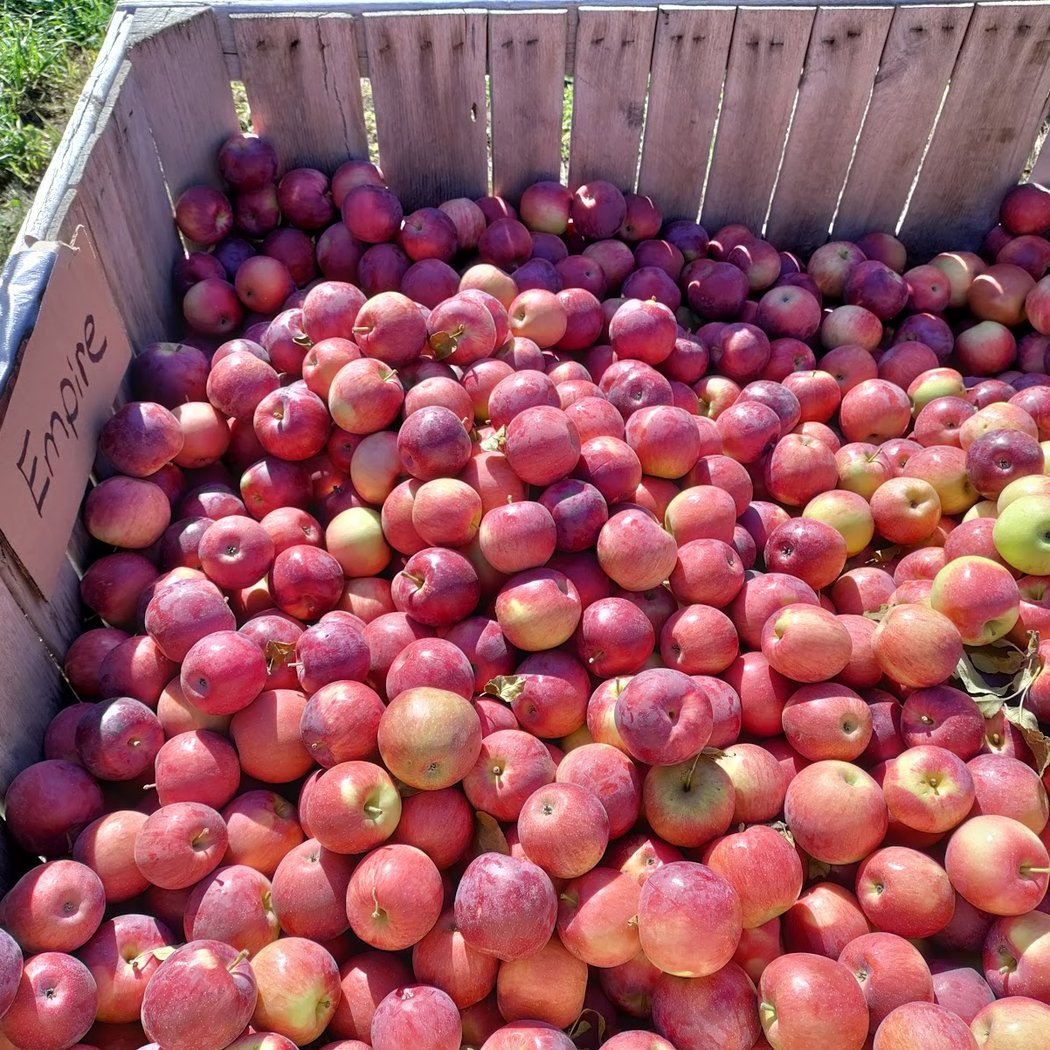 Apple Ridge Orchards 1
