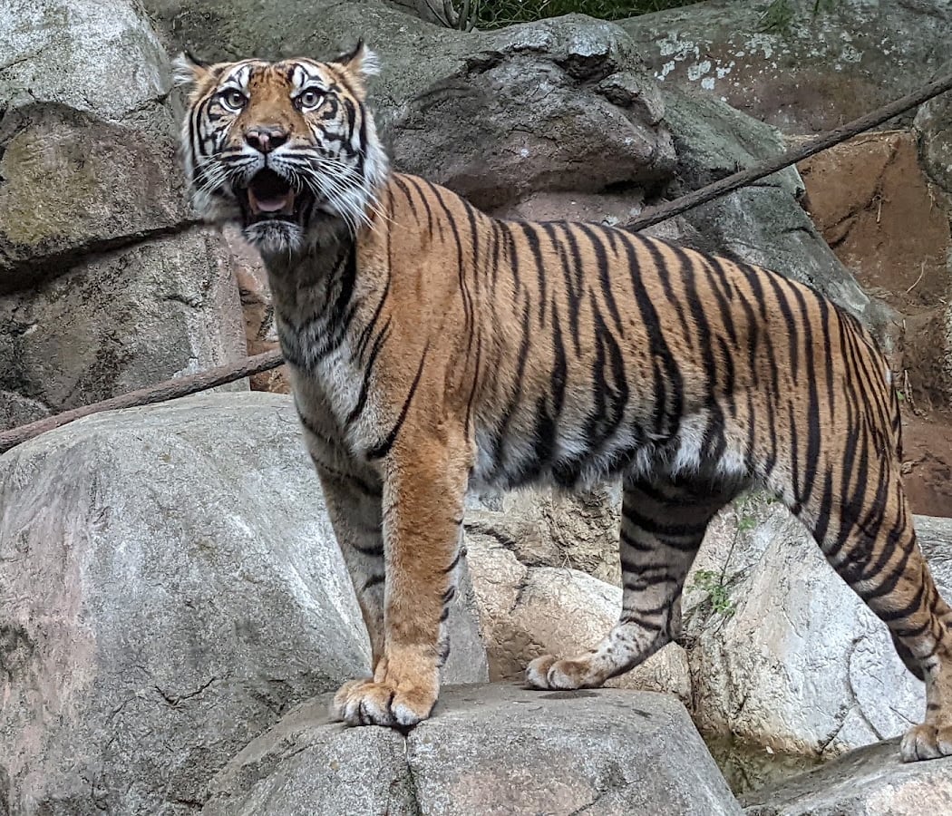 Louisville Zoo 1