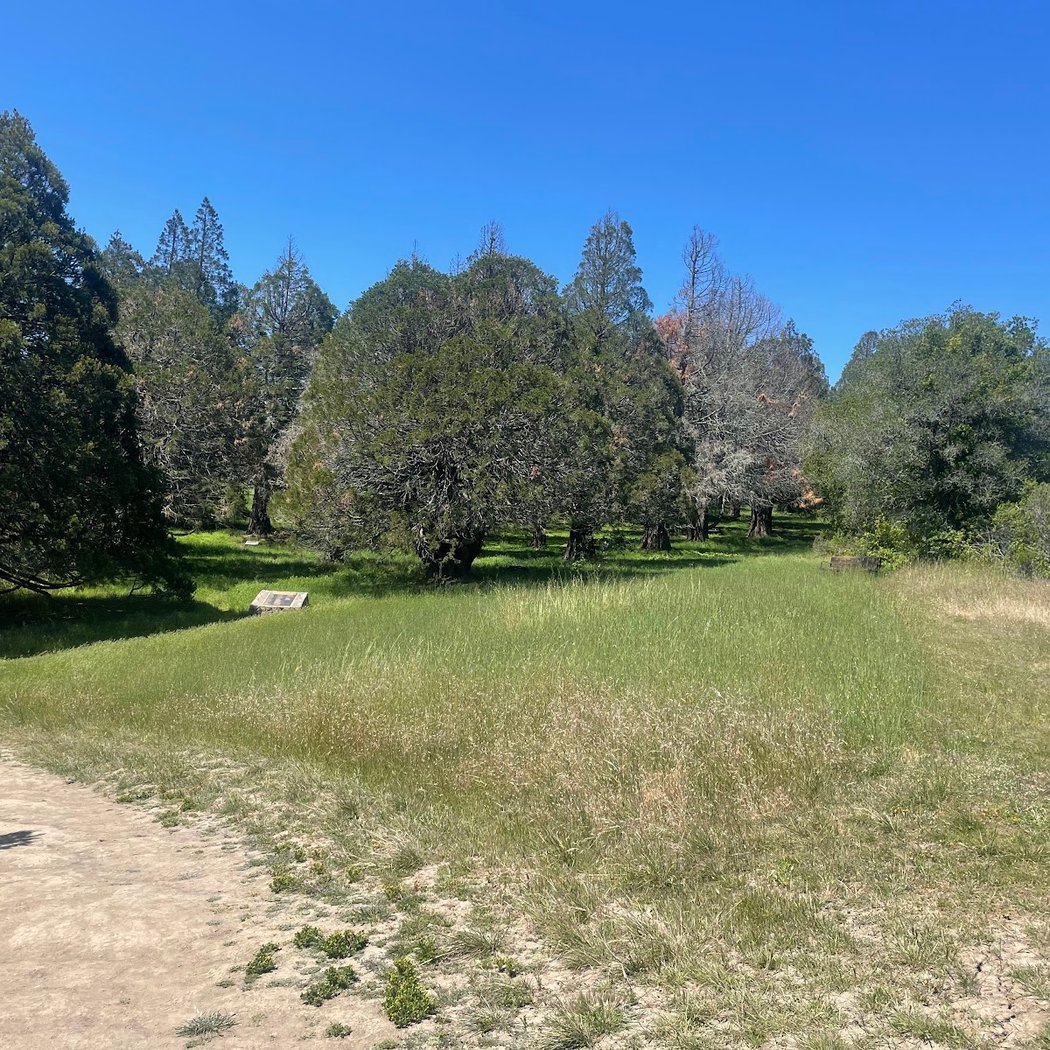 Berkeley Rotary International Peace Grove 2