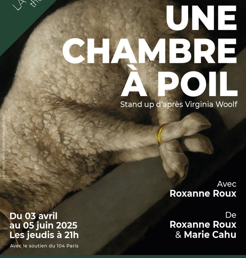 Une chambre à poil 2
