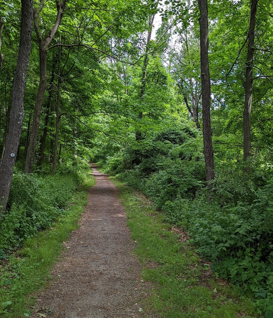 Crom Pond Trail 1