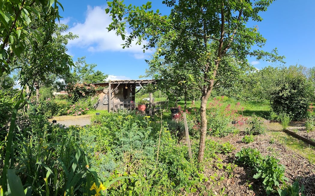 Conservatoire des Légumes anciens du Béarn (CLAB) 2