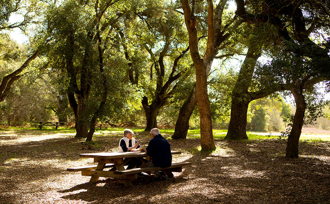 Sebastopol Community Cultural Center 2