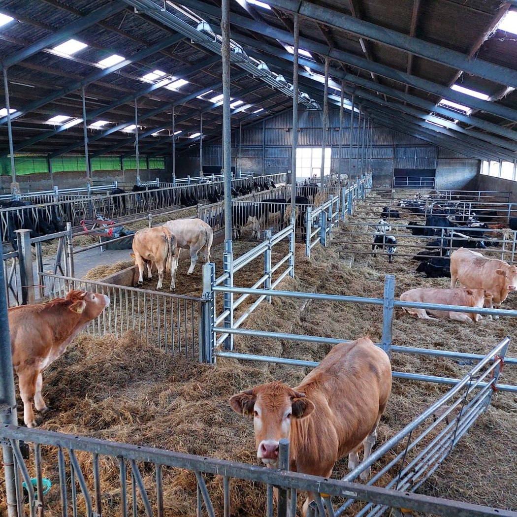 Boerderij Opendag 3