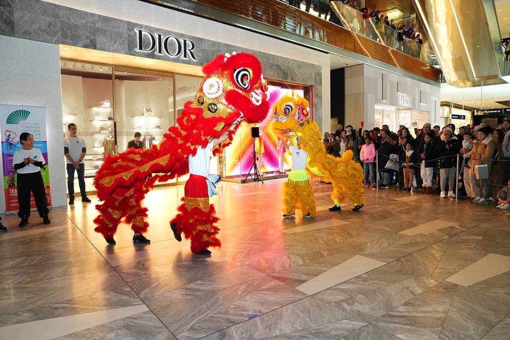 Lunar New Year Celebration 1
