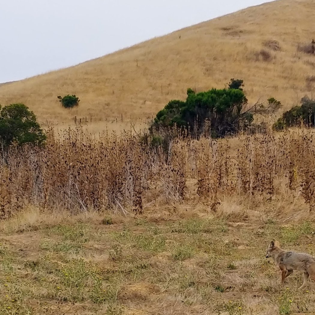 EBMUD Valle Vista Staging Area 3