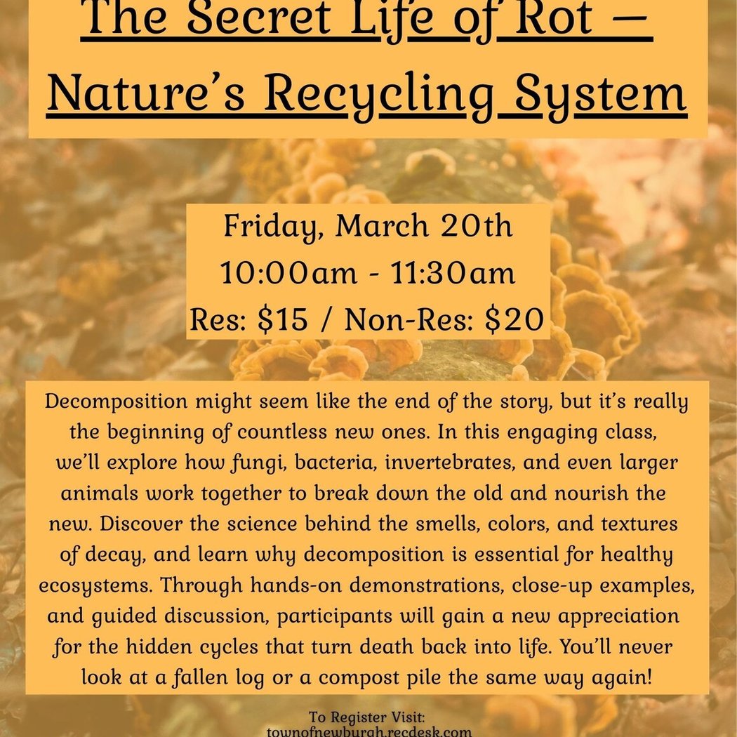 The Secret Life of Rot - Nature's Recycling System 1