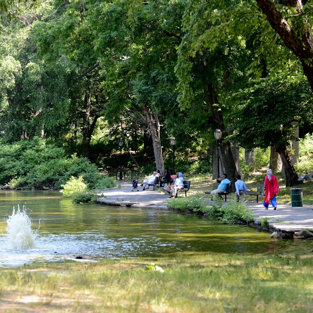 Captain Tilly Park 2