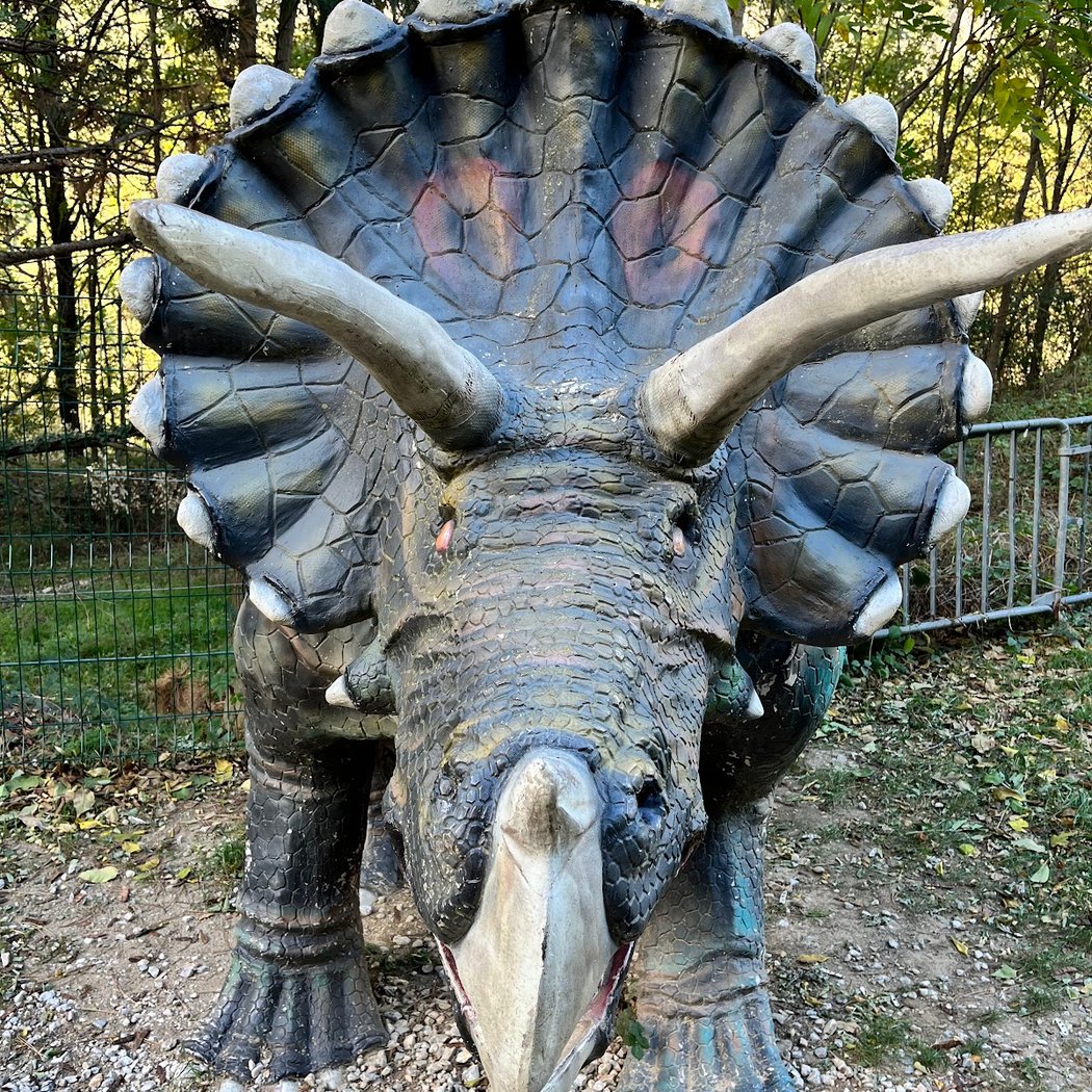 Le coin des dinos 4