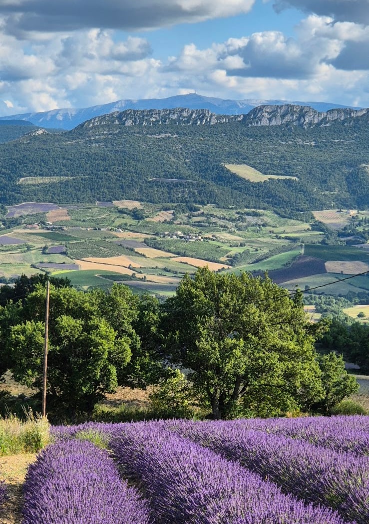 Parc naturel régional des Baronnies Provençales 1