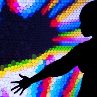 Exploratorium: General Admission 2
