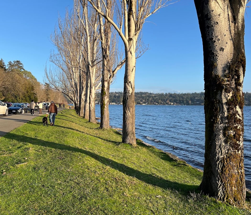 Lake Washington Boulevard Bicycle Weekend 1
